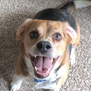 Meet your Posher, Dylan